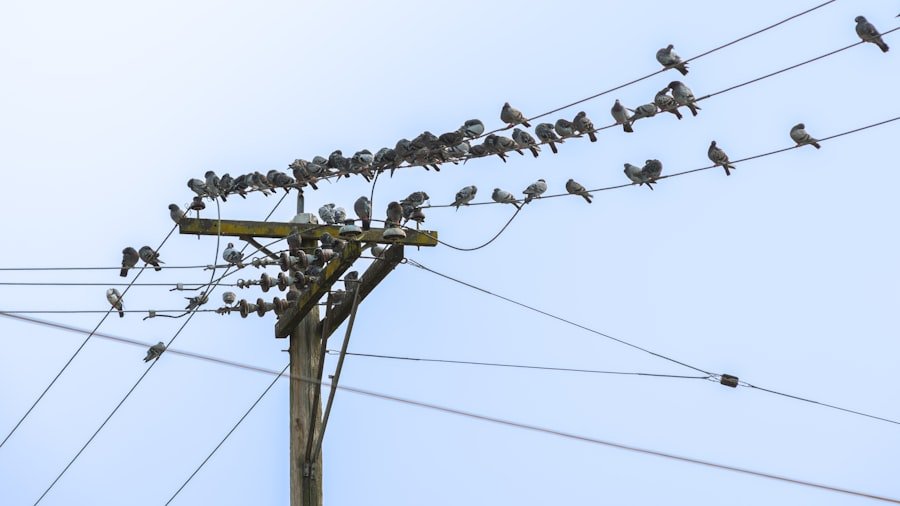Network Effectively