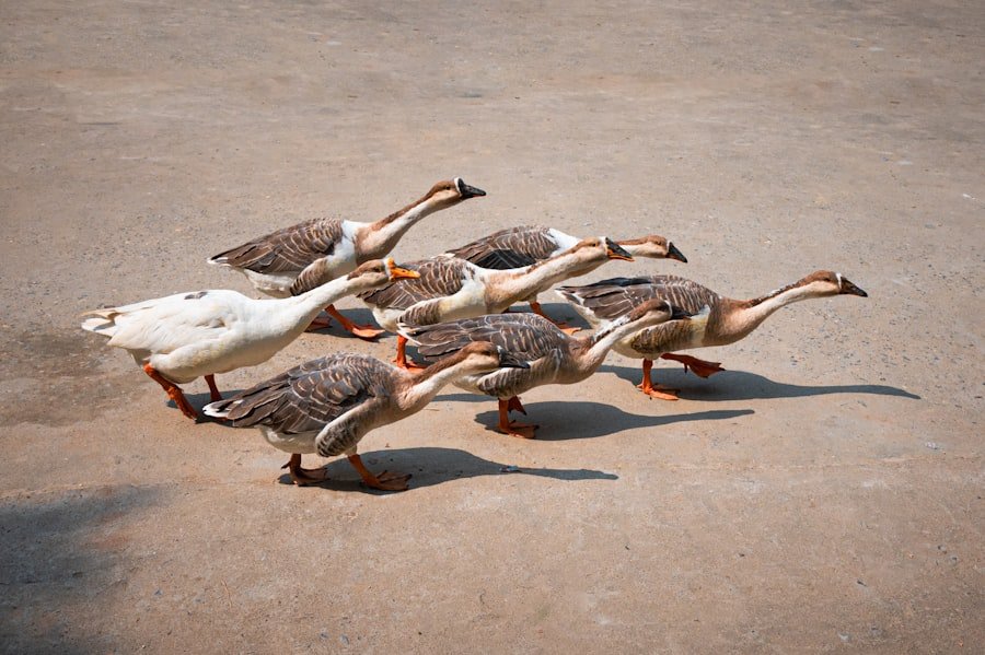 Escalation Management