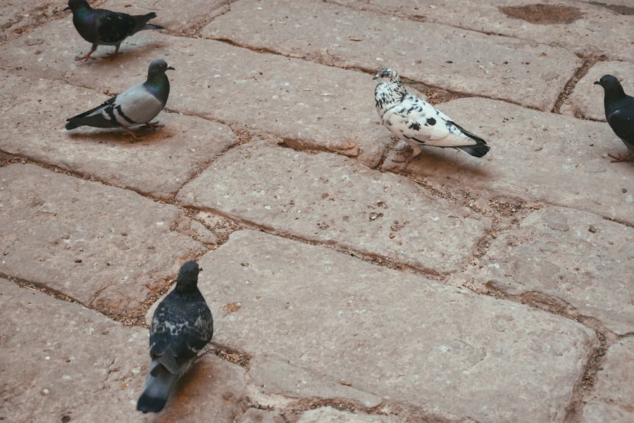 Photo Escalation Management