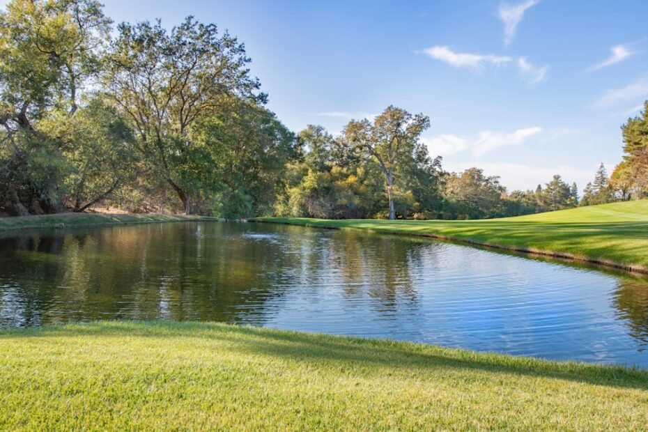 Photo Customer Feedback