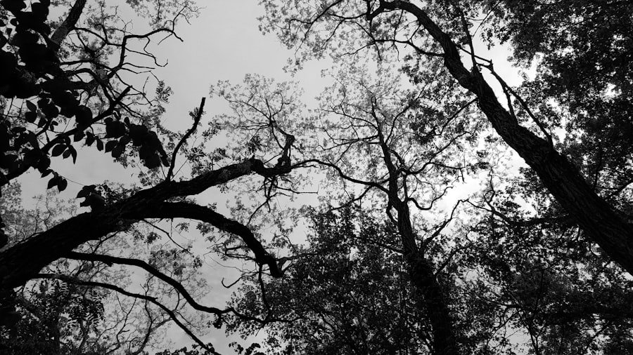 Monochrome