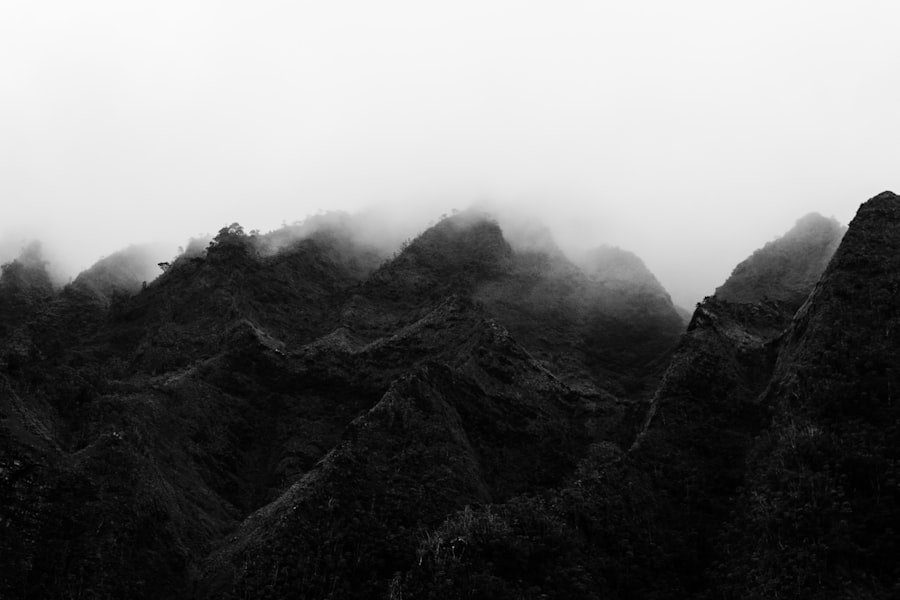 Photo Monochrome