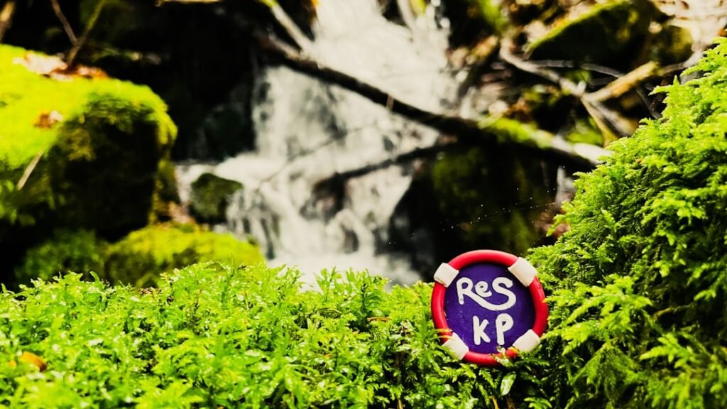Photo KPIs for Sales Operations Teams