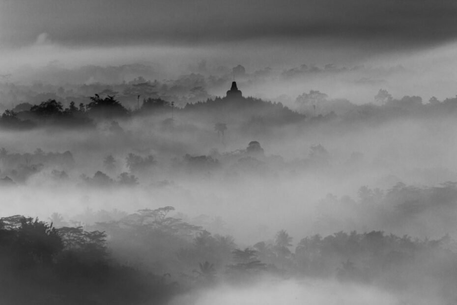 Photo Monochrome
