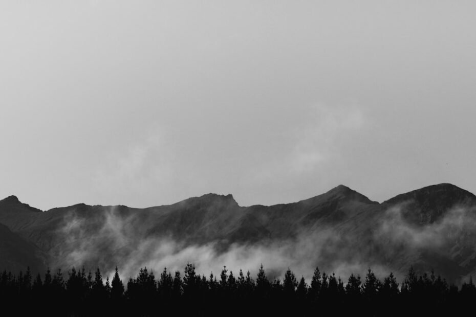 Photo Monochrome