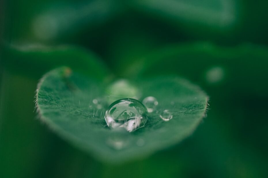 Photo Sustainability