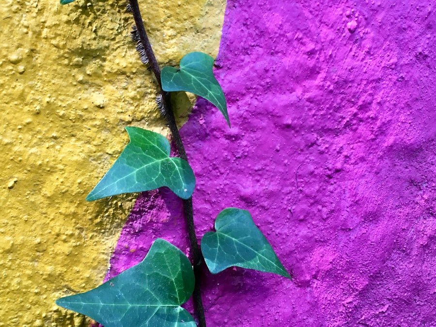 Photo Resilience