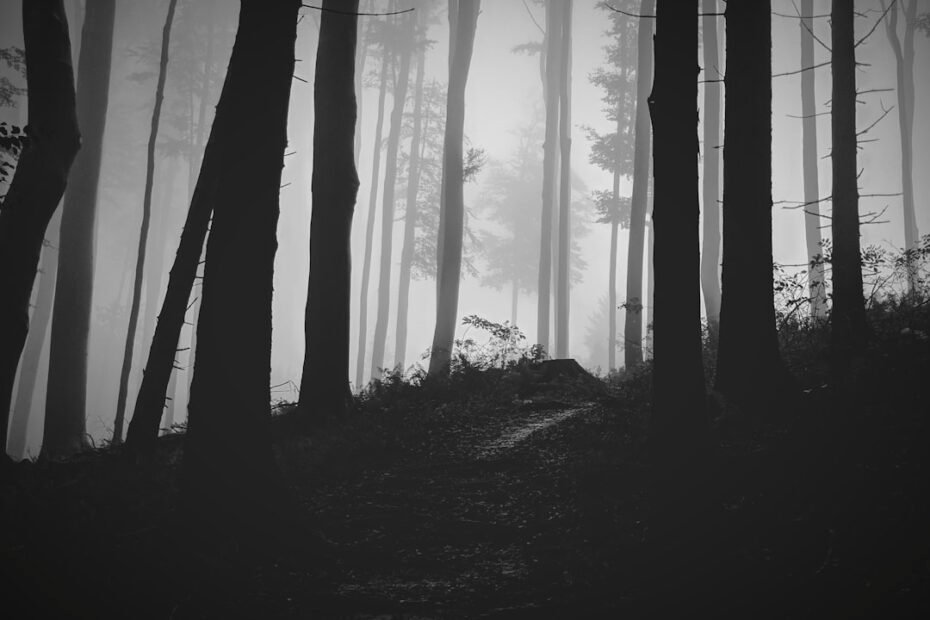 Photo Monochrome
