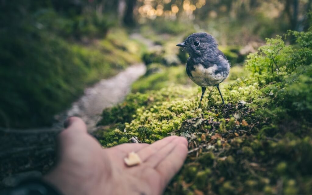 Photo Trust