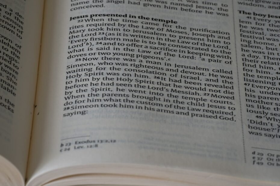 Photo AI-Generated Knowledge Articles