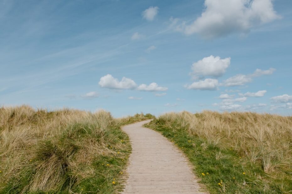 Photo Growth Path